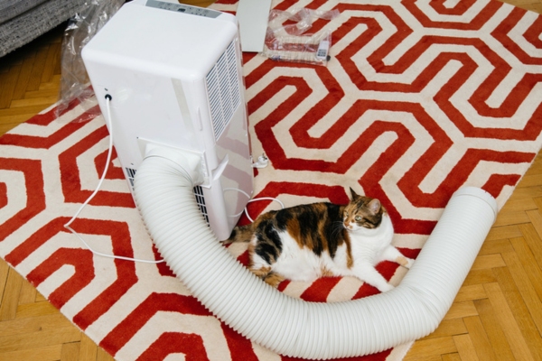 newly unboxed portable air conditioner taking so much floor space beside a calico cat