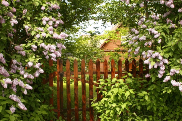 decorative fence to conceal standby generator