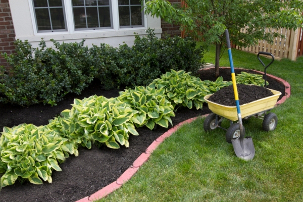 strategically placed plants can help conceal home generator