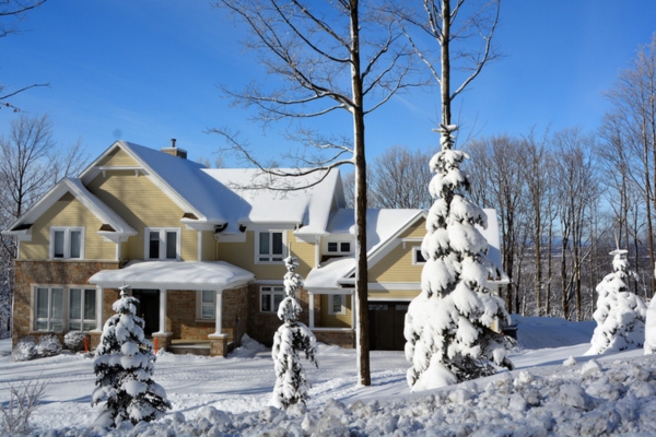 house, trees, and street covered with snow due to extremely cold weather