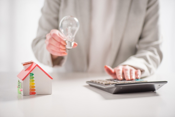 cropped view of a woman holding a lightbulb while using a calculator beside a miniature house with energy efficiency graph